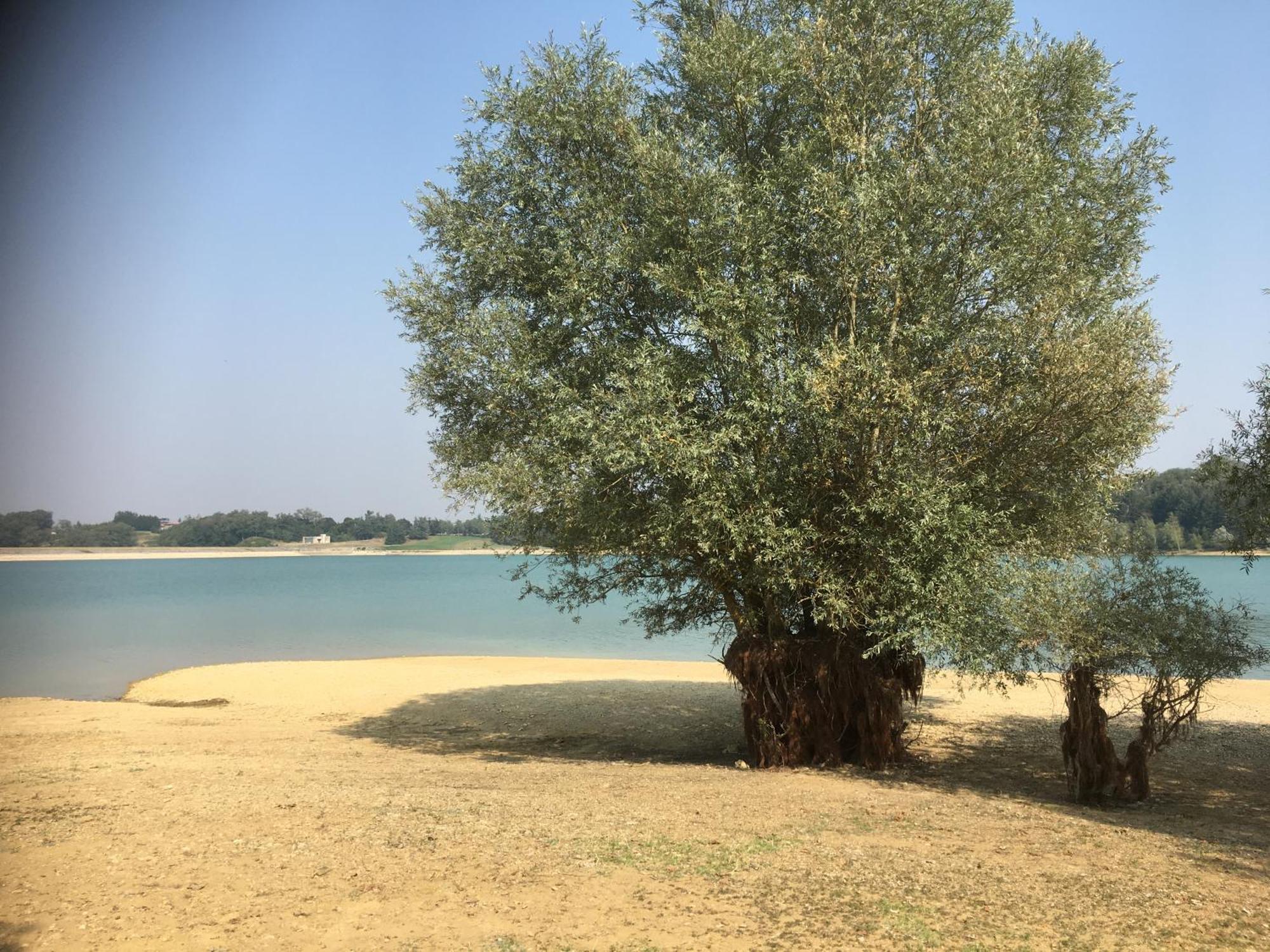 Chez Christian Bed & Breakfast L'Isle-en-Dodon Bagian luar foto